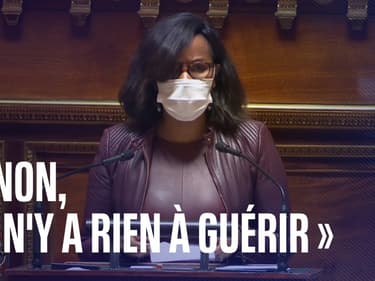"Non, il n'y a rien à guérir": les mots d'Elisabeth Moreno lors du vote d'une loi interdisant les "thérapies de conversion"