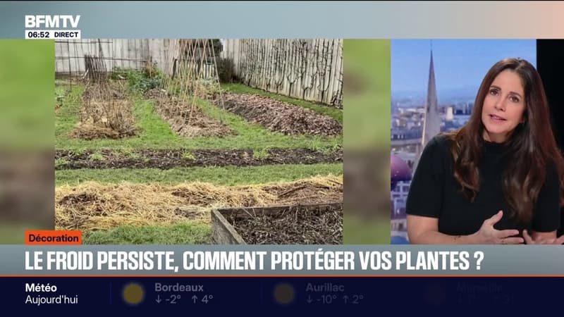 Comment protéger vos plantes du froid ? Les conseils de Caroline Munioz