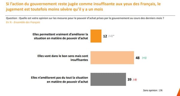 L'action du gouvernement en défense du pouvoir d'achat jugée par les Français. 