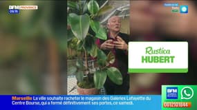 Jardinage, Titanic et Jeux vidéo...- La météo de Colas du mardi 18 novembre 2025