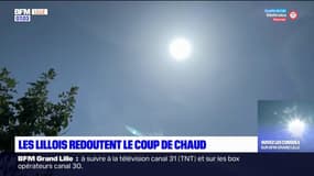 Hauts-de-France: les Lillois redoutent le coup de chaud