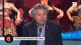 L'avis des GG : les singes savants assassinent l'opéra Carmen ! - 09/01