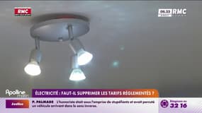 Électricité: faut-il supprimer les tarifs réglementés en place depuis cinq ans? 