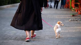 Une femme promène son chien dans une rue de Téhéran, en Iran, le 18 juin 2021