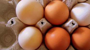 Les oeufs bretons, dont la surproduction fait chuter les cours, partiront à l'exportation.