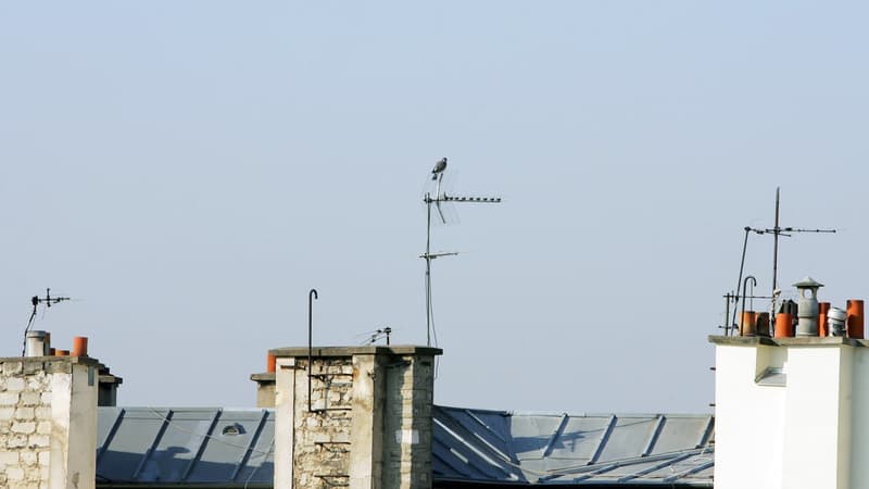 Des antennes mobiles sur un toit.