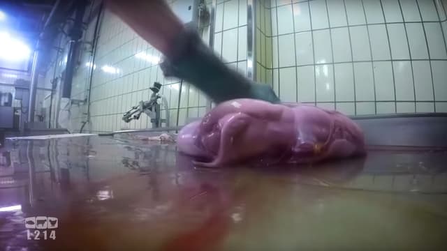 Les images ont été tournées entre mai et septembre à Limoges, dans le plus grand abattoir municipal de France.