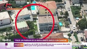 Italie: un parrain de la mafia trahi par le chien de sa femme