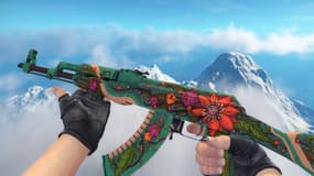 L'arme AK-47 Wild Lotus du jeu Counter-Strike: Global Offensive