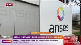 Régime végétarien: quels bénéfices et quels risques pour la santé? 