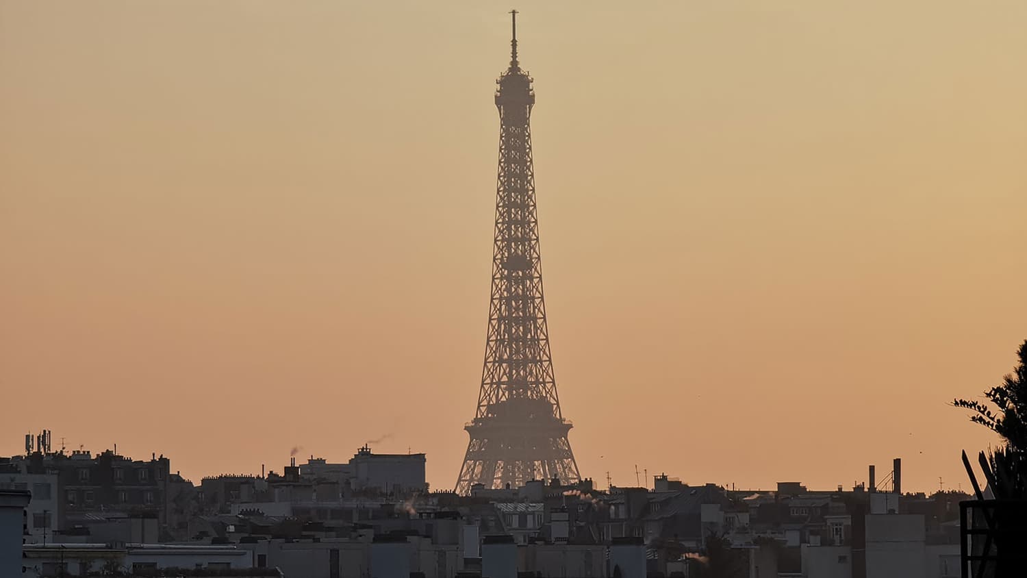 Photo prise avec le Huawei P30 Pro (zoom X5) Photo prise avec le Huawei P30 Pro (zoom X5)