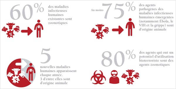 Estimations sur la transmission des maladies de l'animal à l'homme