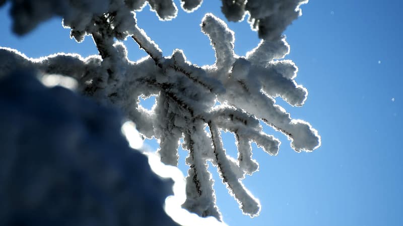 Températures très froides ce vendredi en France, jusqu'à -19°.