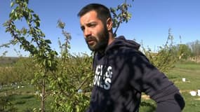 Joris, arboriculteur à Moras-en-Valloire (Drôme), victime de l'épisode de gel d'avril 2021.