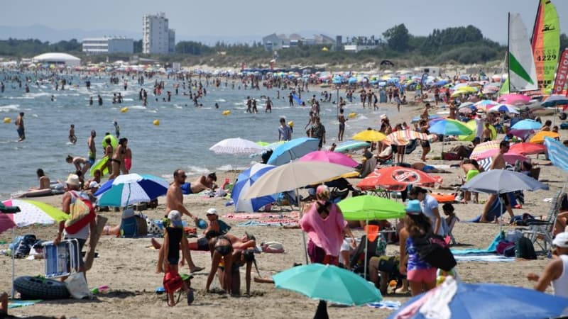 Une plage - Image d'illustration