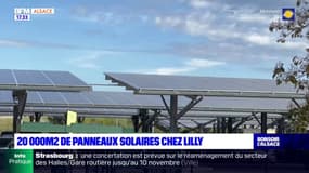 Fegersheim: 20.000m2 de panneaux solaires installés sur le site de l'entreprise Lilly