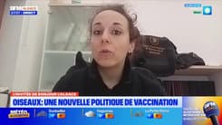 L'invitée de Bonjour Alsace du vendredi 30 janvier 2026 - Clémence Verguin