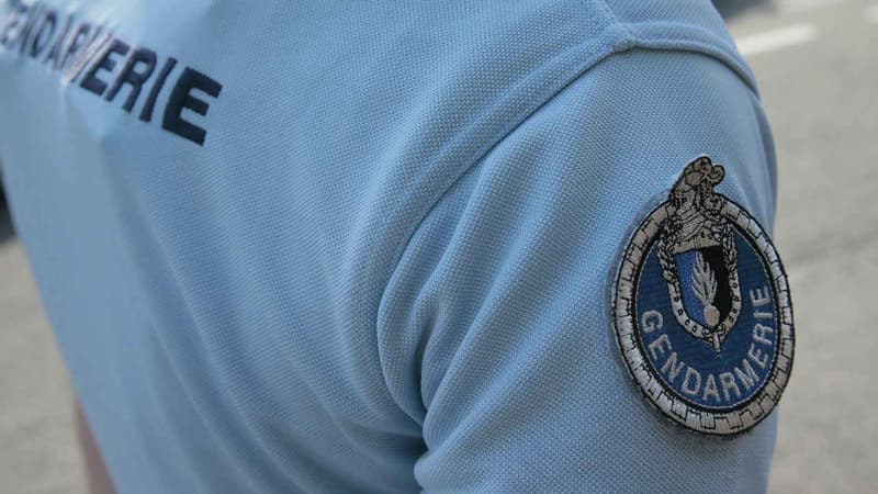 L'homme a menacé les gendarmes avec plusieurs armes (photo d'illustration).