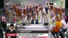 Femme enceinte tuée par des chiens: "Nos chiens chassent du gibier, jamais l’homme", défend le président de la vénerie sur RMC