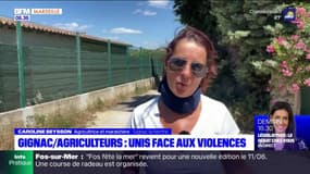 Gignac: professionnels, riverains et municipalité unis après l'agression d'une agricultrice