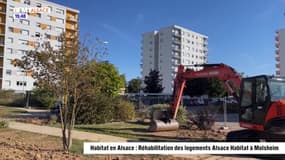 Habitat en Alsace : Réhabilitation des logements Alsace Habitat à Molsheim