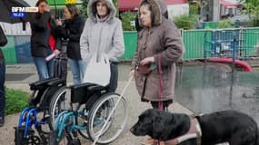 Mobiles : la commission interne dédiée à l'accessibilité et la requalification urbaine & paysagère du réseau tram