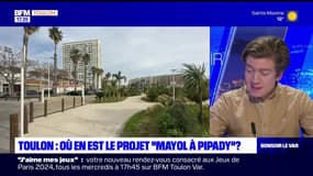 Toulon: où en est le projet "Mayol à Pipady"?
