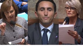 Laurence Rossignol, Julien Aubert et Véronique Massonneau se sont illustrés mardi à l'Assemblée nationale.