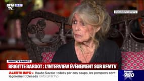 "Je suis prisonnière de moi-même": après 11 ans d'absence, Brigitte Bardot se confie dans une interview exclusive