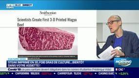 Culture Geek : Steak imprimé en 3D, foie gras de culture... bientôt dans votre assiette !, par Anthony Morel - 10/09
