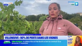 Villeneuve: jusqu'à 90% de perte dans les vignes