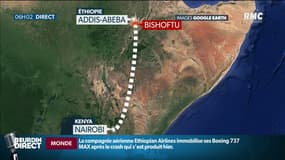 Crash d'Ethiopian Airlines: comment déterminer les causes de l'accident?