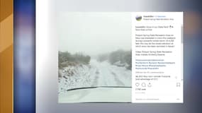 La neige sur le parc de Polipoli, sur l'île de Maui à Hawaï.