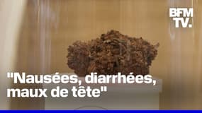Les autorités sanitaires alertent sur le mélange du CBD et de certains médicaments 