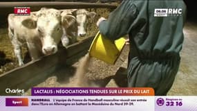 Lactalis : négociations tendues sur le prix du lait