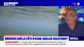 Filets anti-méduses à Beaulieu-sur-Mer:  "on ne peut pas dire que c'est une mauvaise solution"