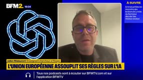 IA: "On a assoupli cette réglementation pour plaire aux géants de la tech américains", affirme Julien Malaurent (Essec)