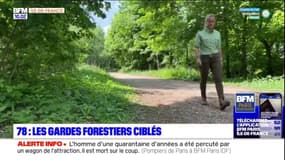 Yvelines: insultes, tags... Les gardes forestiers ciblés