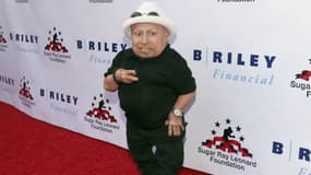 Verne Troyer en 2016