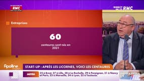 Soixante "centaures" sont nés en 2021.