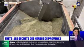 Trets : les secrets des herbes de Provence