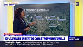 Douze villes d'Île-de-France placées en état de catastrophe naturelle