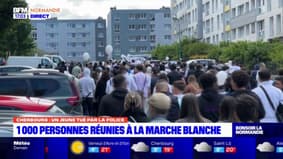 Jeune tué à Cherbourg par la police: 1.000 personnes réunies pour une marche blanche