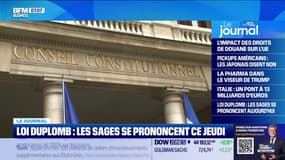 Loi Duplomb: le Conseil constitutionnel doit se prononcer ce jeudi
