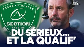 Champions Cup : "La qualification avec sérieux", la Section Paloise doit faire le job face aux Bulls