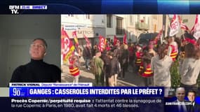 Patrick Vignal (Renaissance): "C'est compliqué pour le président d'avoir tous les jours des comités d'accueil, mais c'est le jeu démocratique"