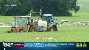 Supprimer le glyphosate aura un coût élevé, estime un rapport parlementaire