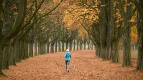 Une personne faisant un jogging à Cologne le 4 novembre 2016