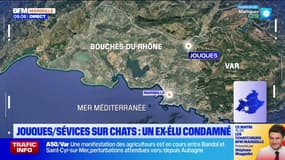 Joucques / Sévices sur des chats : un ex-élu condamné