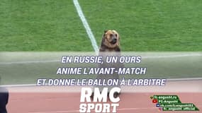 En Russie, un ours anime l'avant-match et donne le ballon à l'arbitre